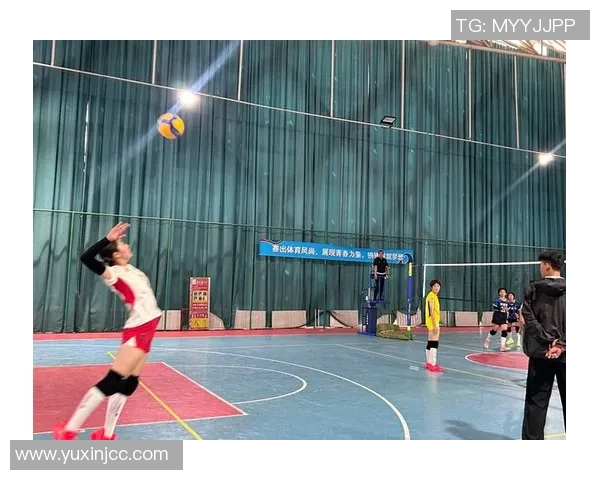 杭州排球队在全国排球耐力排行榜中荣获第4名展现出强大实力与团队精神