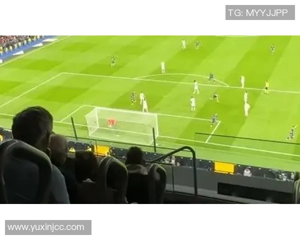 易姓足球明星的辉煌历程与成就盘点，见证他们在绿茵场上的精彩瞬间